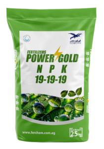 باور جولد NPK 19-19-19