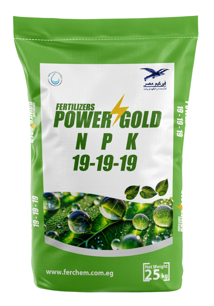 باور جولد NPK 19-19-19